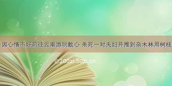 男子因心情不好前往云南游玩散心 杀死一对夫妇并推到杂木林用树枝掩盖