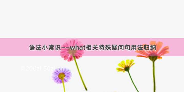 语法小常识——what相关特殊疑问句用法归纳