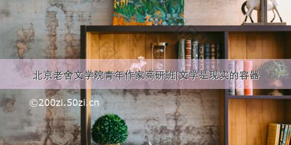 北京老舍文学院青年作家高研班|文学是现实的容器