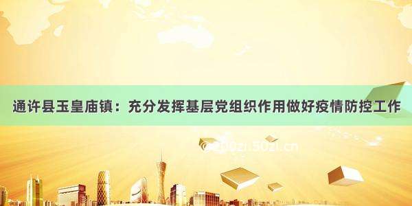 通许县玉皇庙镇：充分发挥基层党组织作用做好疫情防控工作