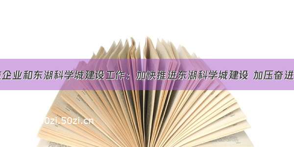 程用文调研重点企业和东湖科学城建设工作：加快推进东湖科学城建设 加压奋进确保&ldquo;全