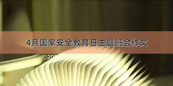 4月国家安全教育日主题班会作文