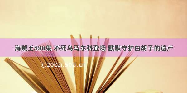 海贼王890集 不死鸟马尔科登场 默默守护白胡子的遗产