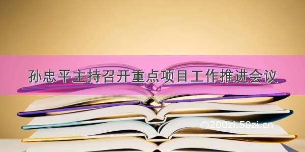 孙忠平主持召开重点项目工作推进会议