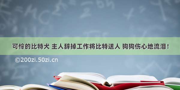 可怜的比特犬 主人辞掉工作将比特送人 狗狗伤心地流泪！