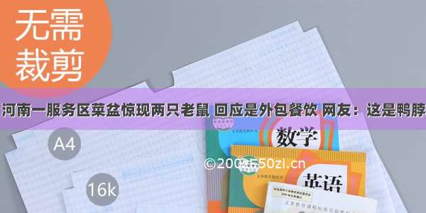 河南一服务区菜盆惊现两只老鼠 回应是外包餐饮 网友：这是鸭脖