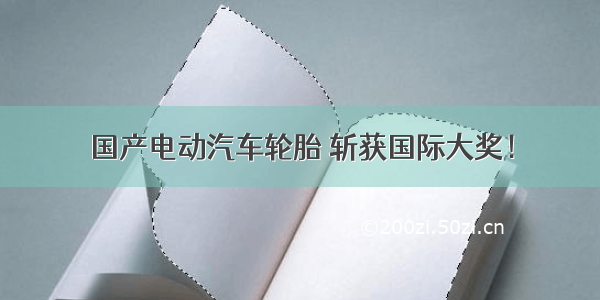 国产电动汽车轮胎 斩获国际大奖！