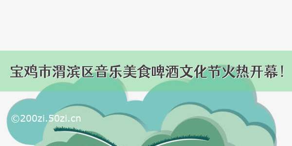 宝鸡市渭滨区音乐美食啤酒文化节火热开幕！