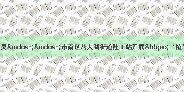 以“艾”传情 放飞心灵——市南区八大湖街道社工站开展“‘植’愈希望”困境老人园艺