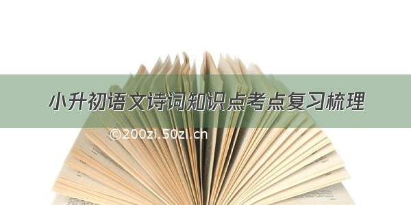 小升初语文诗词知识点考点复习梳理