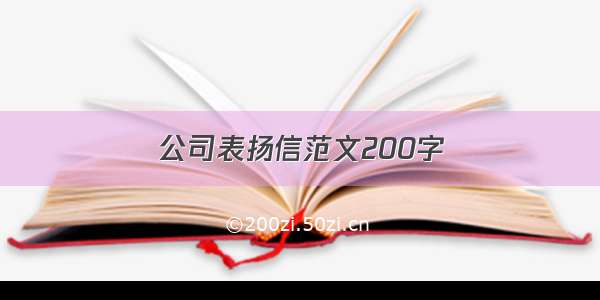 公司表扬信范文200字