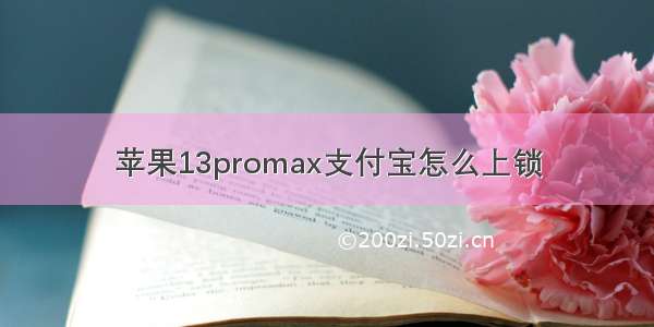 苹果13promax支付宝怎么上锁