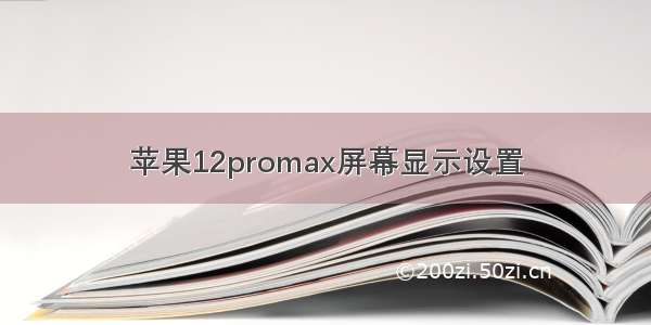 苹果12promax屏幕显示设置