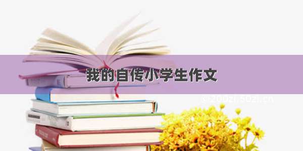 我的自传小学生作文