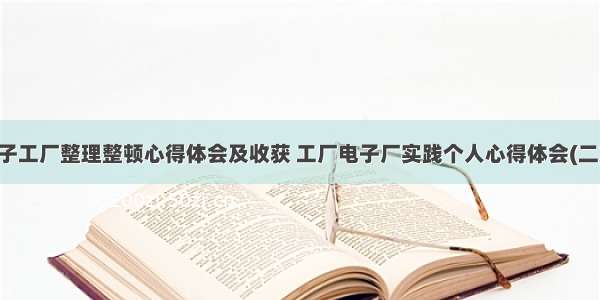 电子工厂整理整顿心得体会及收获 工厂电子厂实践个人心得体会(二篇)