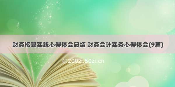 财务核算实践心得体会总结 财务会计实务心得体会(9篇)