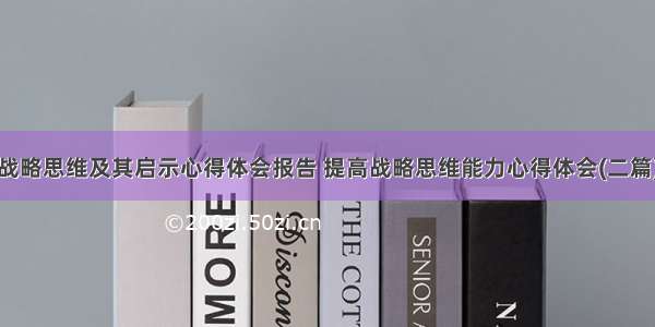 战略思维及其启示心得体会报告 提高战略思维能力心得体会(二篇)