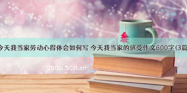 今天我当家劳动心得体会如何写 今天我当家的感受作文600字(3篇)