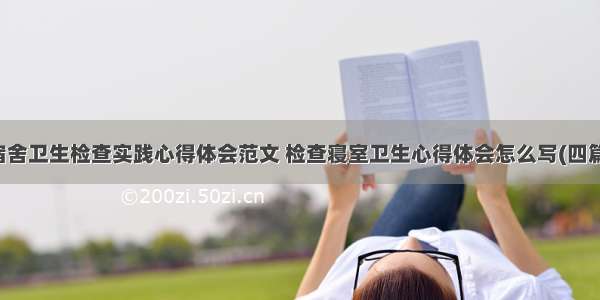 宿舍卫生检查实践心得体会范文 检查寝室卫生心得体会怎么写(四篇)