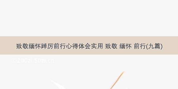 致敬缅怀踔厉前行心得体会实用 致敬 缅怀 前行(九篇)