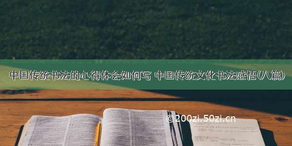 中国传统书法的心得体会如何写 中国传统文化书法感悟(八篇)