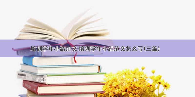 培训学年小结范文 培训学年小结范文怎么写(三篇)