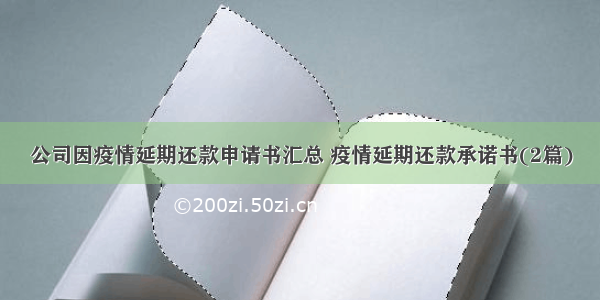 公司因疫情延期还款申请书汇总 疫情延期还款承诺书(2篇)