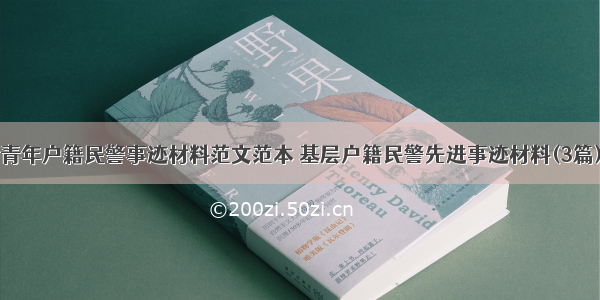 青年户籍民警事迹材料范文范本 基层户籍民警先进事迹材料(3篇)