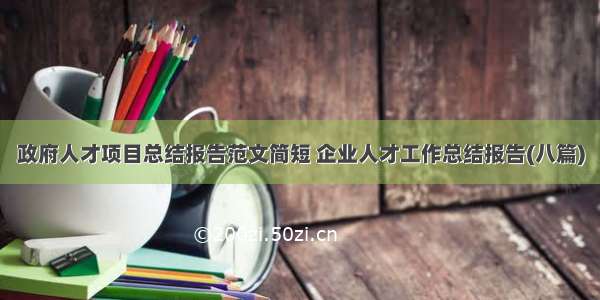 政府人才项目总结报告范文简短 企业人才工作总结报告(八篇)