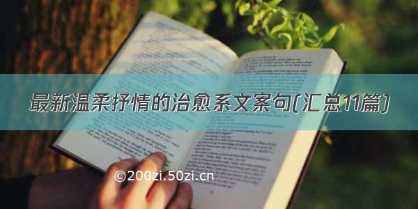 最新温柔抒情的治愈系文案句(汇总11篇)