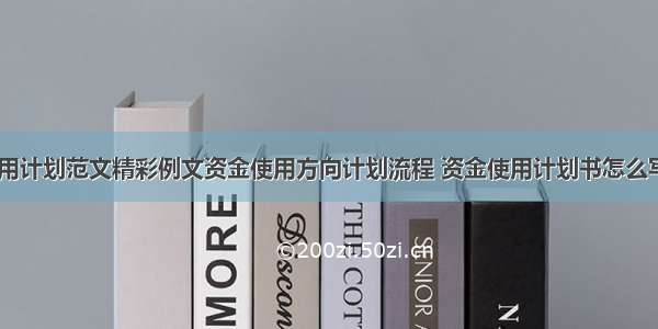 资金使用计划范文精彩例文资金使用方向计划流程 资金使用计划书怎么写(四篇)