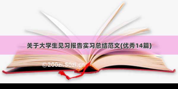 关于大学生见习报告实习总结范文(优秀14篇)