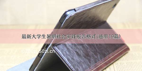 最新大学生暑期社会实践报告格式(通用19篇)