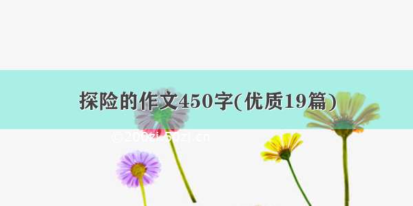 探险的作文450字(优质19篇)