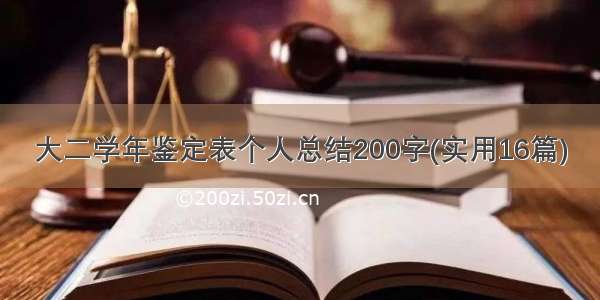 大二学年鉴定表个人总结200字(实用16篇)