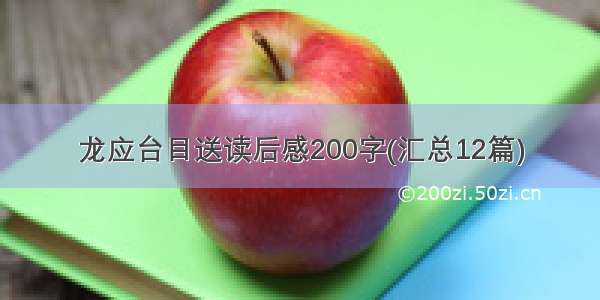 龙应台目送读后感200字(汇总12篇)