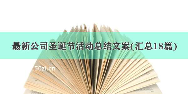 最新公司圣诞节活动总结文案(汇总18篇)