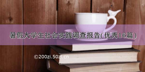 暑假大学生社会实践调查报告(优秀16篇)