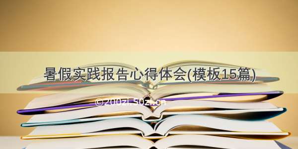 暑假实践报告心得体会(模板15篇)