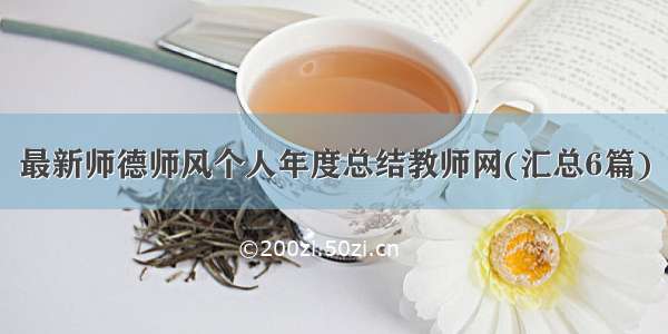 最新师德师风个人年度总结教师网(汇总6篇)