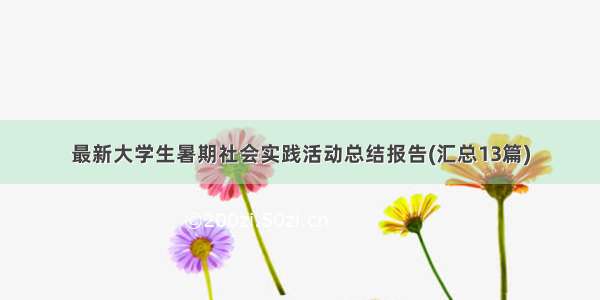 最新大学生暑期社会实践活动总结报告(汇总13篇)