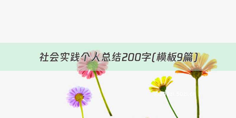 社会实践个人总结200字(模板9篇)