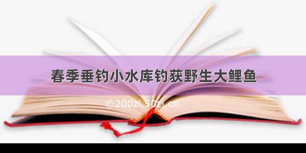 春季垂钓小水库钓获野生大鲤鱼