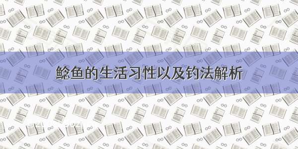 鲶鱼的生活习性以及钓法解析