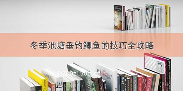 冬季池塘垂钓鲫鱼的技巧全攻略