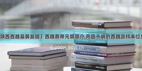 【陕西西魏墓葬发掘】西魏恭帝元廓简介 死因不明的西魏政权末位皇帝