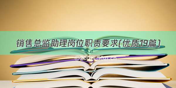 销售总监助理岗位职责要求(优质19篇)