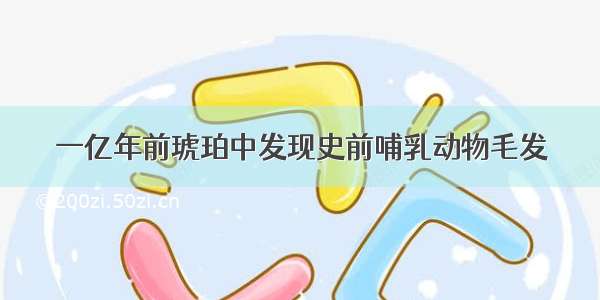 一亿年前琥珀中发现史前哺乳动物毛发