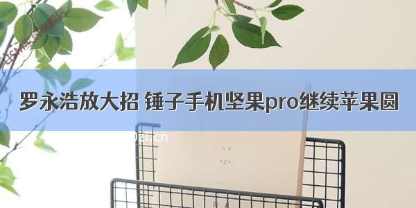 罗永浩放大招 锤子手机坚果pro继续苹果圆