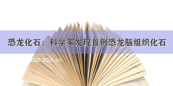 恐龙化石：科学家发现首例恐龙脑组织化石